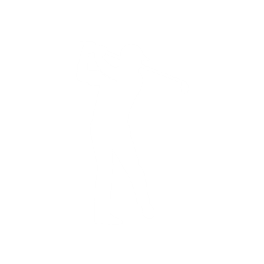 Corporate